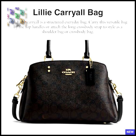 Mini Satchel Shoulder Bag Leather Canvas Crossbody Chic Classic Everyday - Picture 2 of 5